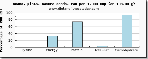 lysine and nutritional content in pinto beans